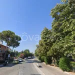 Rent 4 bedroom apartment of 110 m² in Fano