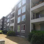 Rent 3 bedroom apartment of 61 m² in Gelsenkirchen