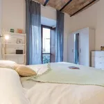 Rent 1 bedroom apartment in Rome