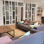 Rent 1 bedroom apartment in brussels