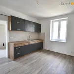 Pronajměte si 2 ložnic/e byt o rozloze 55 m² v Ústí nad Labem