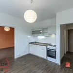 Rent 2 bedroom apartment in Liberec