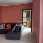 Rent 3 bedroom apartment of 70 m² in Turin