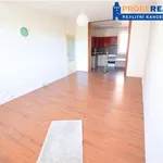 Rent 3 bedroom apartment of 83 m² in Capital City of Prague