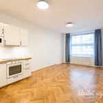 Rent 1 bedroom apartment of 33 m² in Capital City of Prague