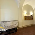 Rent 1 bedroom house of 45 m² in Rome