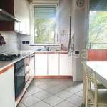 Rent 4 bedroom apartment of 116 m² in Arese