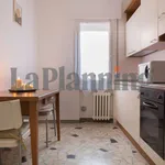 Rent 2 bedroom apartment of 41 m² in Venezia