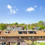 Rent 3 bedroom apartment of 127 m² in Haarlem