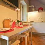 Rent 1 bedroom apartment in rome