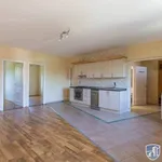 Rent 4 bedroom apartment of 75 m² in Szeged