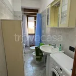 Rent 2 bedroom apartment of 55 m² in Nettuno