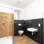 Rent 1 bedroom apartment of 46 m² in Ostrava