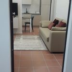 Appartamento BILOCALE in affitto a	Colorno (Pr)