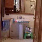 Rent 3 bedroom apartment of 50 m² in Viareggio