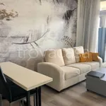 Rent 2 bedroom apartment of 40 m² in Baveno