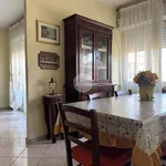 Rent 3 bedroom apartment of 104 m² in Sabaudia