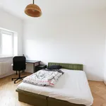 Rent a room of 57 m² in Brno