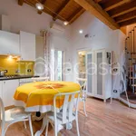 Rent 2 bedroom house of 50 m² in Bologna