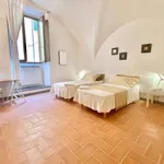 Rent 3 bedroom apartment of 130 m² in florence