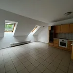 Rent 1 bedroom apartment of 45 m² in Linz