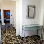 Rent 3 bedroom apartment of 80 m² in Cecina