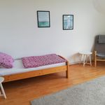 Miete 2 Schlafzimmer wohnung von 55 m² in Braunschweig