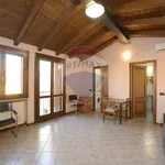 Rent 1 bedroom apartment of 40 m² in Ferrara