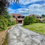 Rent 5 bedroom apartment in Wales