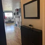 Rent 1 bedroom apartment in Rego Park