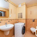 Rent 3 bedroom apartment of 80 m² in Prague