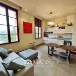 Rent 2 bedroom apartment of 55 m² in Pisa