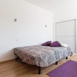 Rent 3 bedroom apartment in Madrid