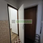 Rent 1 bedroom apartment in České Budějovice