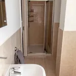 Rent 1 bedroom apartment in Leicester