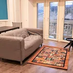 Rent 3 bedroom apartment of 68 m² in Torino