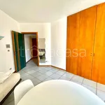 Rent 1 bedroom apartment of 42 m² in Lodi