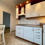 Rent 3 bedroom apartment of 65 m² in Adamov