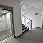 Rent 3 bedroom apartment of 60 m² in SZCZECIN 