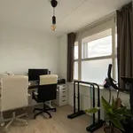 Rent 3 bedroom apartment of 80 m² in Sint-Maartensdijk