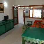 Rent 1 bedroom apartment of 50 m² in Palau