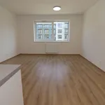 Rent 1 bedroom apartment of 33 m² in Chrudim