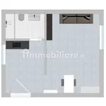 Rent 1 bedroom apartment of 20 m² in Turin