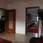 Rent 4 bedroom apartment of 72 m² in Dortmund