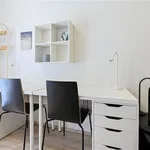 Rent 1 bedroom apartment in Brno