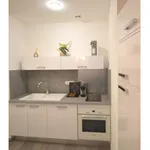 Rent 2 bedroom apartment of 40 m² in Marseille 01