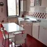 Rent 2 bedroom apartment of 60 m² in Cremona