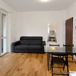 Rent 2 bedroom apartment of 55 m² in Milan