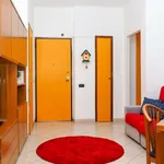 Rent 1 bedroom apartment of 55 m² in milan