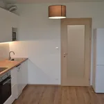 Rent 1 bedroom apartment of 30 m² in Capital City of Prague